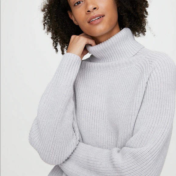 Aritzia Sweaters - Aritzia Asianna Sweater (gray)